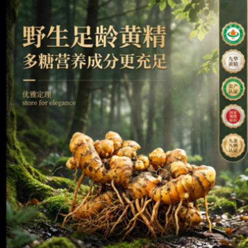 AI 智能创作效果展示